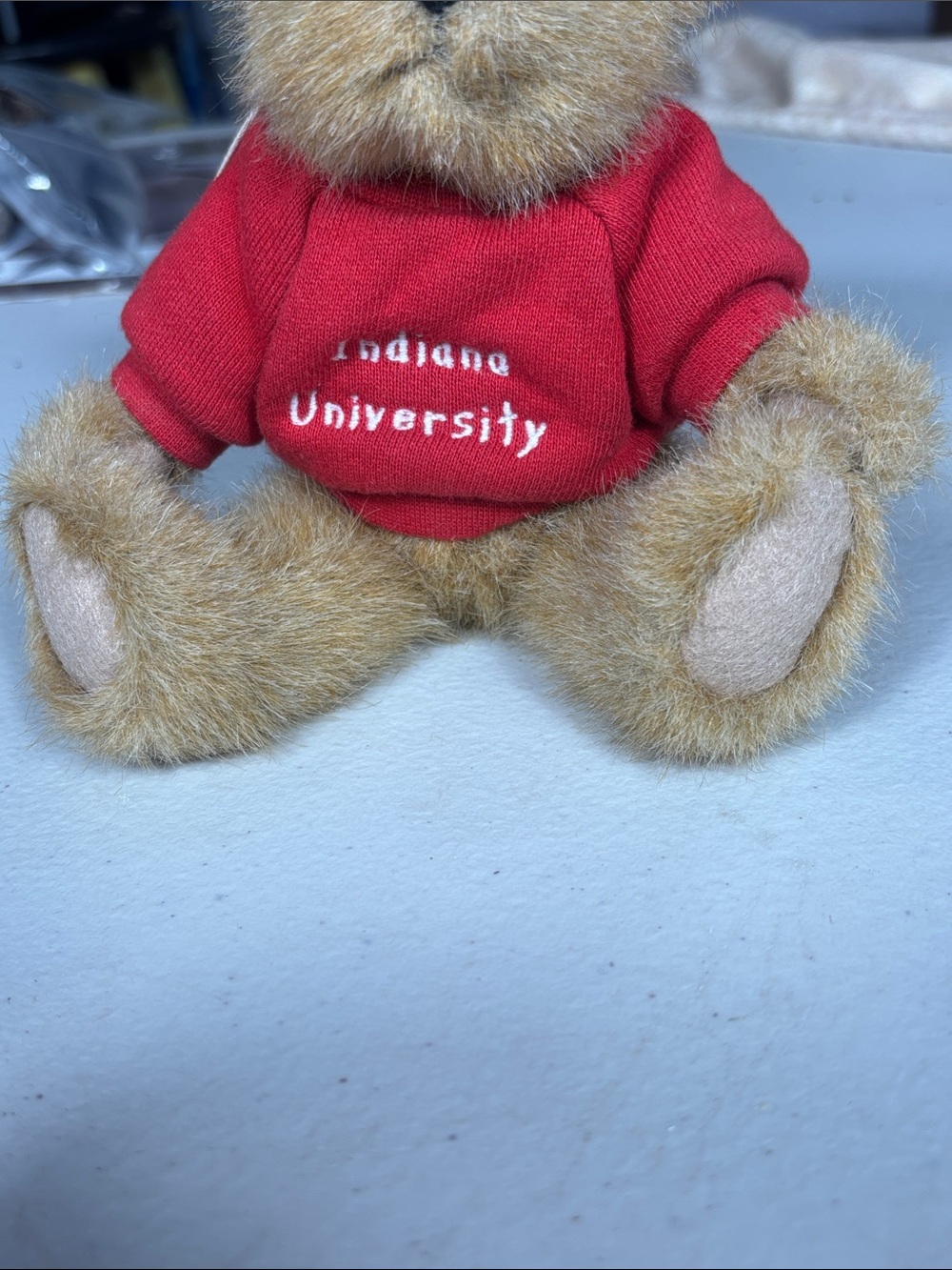 Boyds Head Bean Indiana University Teddy Bear Plush IU Hoosiers 5” With Hang Tag - Picture 12 of 15